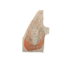 hay! that stupid cat!