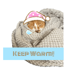 Mint Coffee is a cat