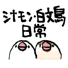 シナモン&白文鳥 日常01