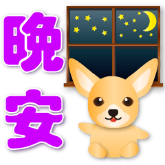 Cute Chihuahua - practical daily phrases