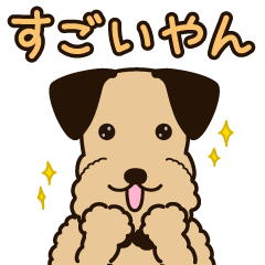 エアデールのテリアさんは大阪弁が得意