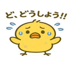 すぐテンパるヒヨコ