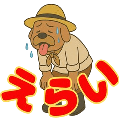 信州 おじさん犬２