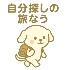 まるちーの日常➀