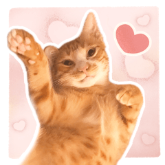 無敵のスーパー天使♡薯泥（しゅに）ちゃん