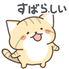 スナネコの日常色々