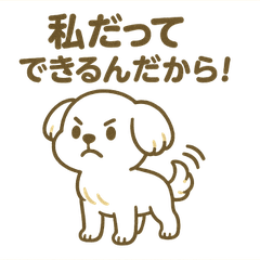 かわいいマルチーズの毎日