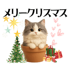 ふんわり猫の生活スタンプ