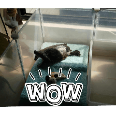 Ivy Chen_20251017221052