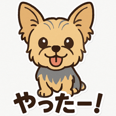 大丈夫★ヨークシャーテリア