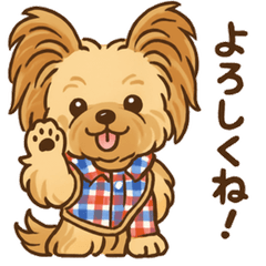 ヨーキーのツナ