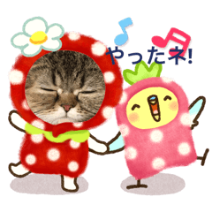 ゆるゆるぽんちゃん