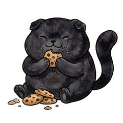 黒猫：くろおの「日常」（白縁あり）