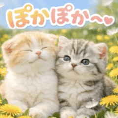 飛び出す♡春のにゃんこ