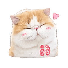 Haru Tofucat (Series 2)