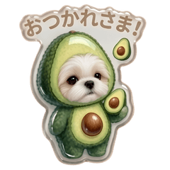 お野菜の着ぐるみシーズーちゃん
