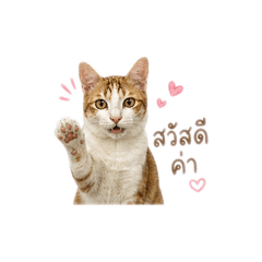My dog talk_20260501172014