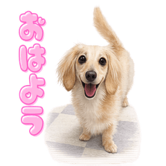 桜のひだまり時間♡