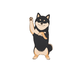 動く！柴犬（黒柴・文字なし）