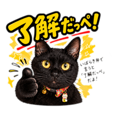 黒猫すず