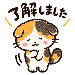 三毛猫スコティッシュフォールドの毎日敬語