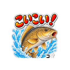 川と湖のリアルな淡水魚スタンプ
