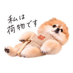 脱力系ぽめらにあんのるる