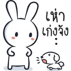 hello..little rabbit