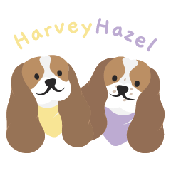 Harvey and Hazel