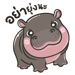 Pygmy Hippo 1