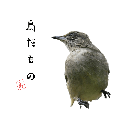 日常で使える鳥スタンプ！2