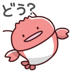 ザリガニの日常色々