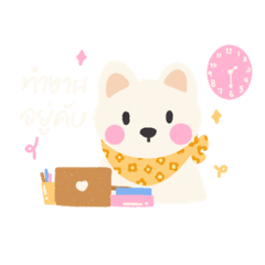 Diamond kitty cat : Working days