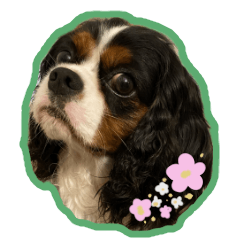 ミロミロすたんぷ