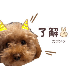 愛犬ぽこちゃんの毎日使えるスタンプ