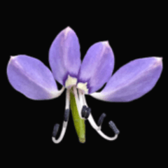 all living things (5)