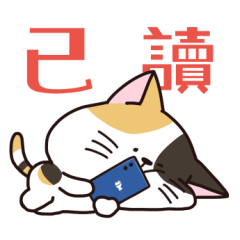 Calico cat Random replies after reading