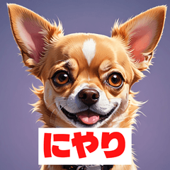 感情豊かなチワワ①