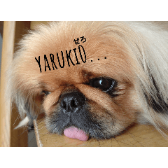 にこうースタンプ!