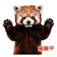 花粉と戦う威嚇失敗レッサーパンダ