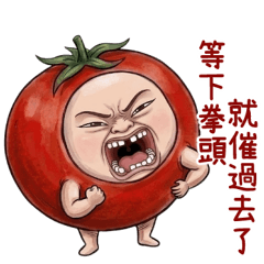 tomato little brother