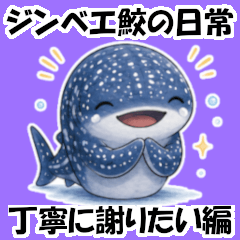 ジンベエ鮫の日常 丁寧に謝りたい編