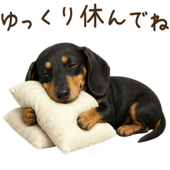 一年中使える♪ダックスフンド