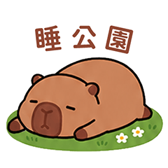 Cai-Meng-Cat-capybara4