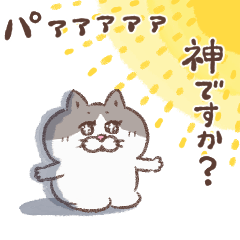 目付きの悪い猫 動く7