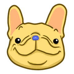 FRENCH BULLDOG PanPan