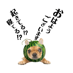 フレブルベティ