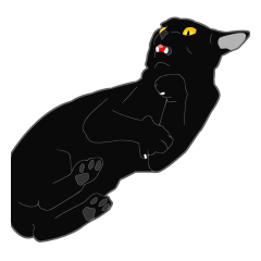 リアル系黒猫の野性