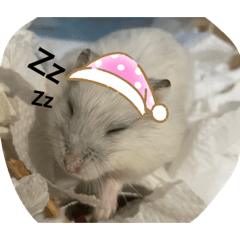 Winni_20210911121826