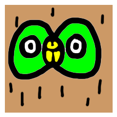 Kiwi owl